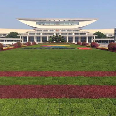 Квадратная форма Hdpe растение поднос крыша Терраса садовый горшок плантатор для наружных расширителей наборов