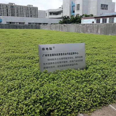 Квадратный пластиковый садовый цветочный горшок с Hdpe материалом и не покрытый отделкой