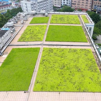 Квадратный пластиковый садовый цветочный горшок с Hdpe материалом и не покрытый отделкой