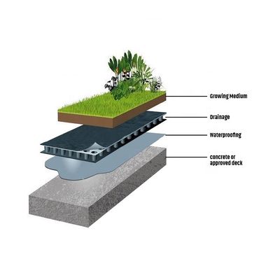 HDPE Глубины зеленые крыши садовые фундамент мембраны для 4 Количество на квадратный метр