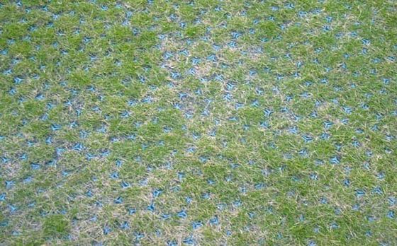 Отель Парковочное решение Зеленый гравий устойчивой решетки с усиленным HDPE материала