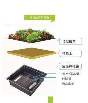 Квадратная форма Sedum зеленой крыши поднос для пластиковых больших садовых плантаторов и зеленых растений