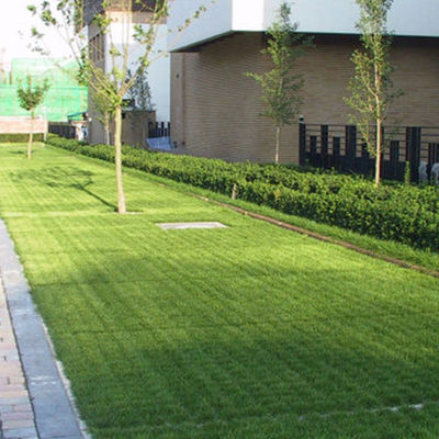 Зелёные проницаемые сетки дорожного покрытия из HDPE для легкой установки на дорожке подъезда